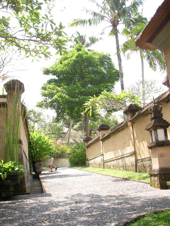 ヴィラの中を散策。<br />塀を高くして中が見えないようになっています。<br />日本の1軒や＋塀のようなつくり。