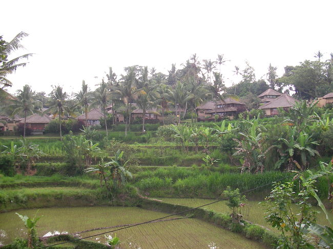 ヴィラを外のたんぼから見るとこんな感じ。<br />集落のように見えます。