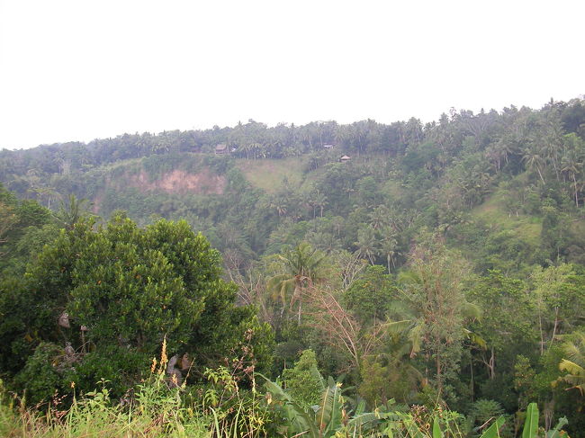 谷の反対側にある東屋まで朝のウオーキング。<br />東屋にて素敵な朝食が用意されています。