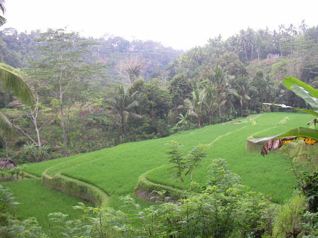 谷を越える途中の景色。
