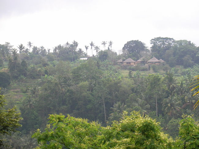東屋からアマンダリ本館を望む。