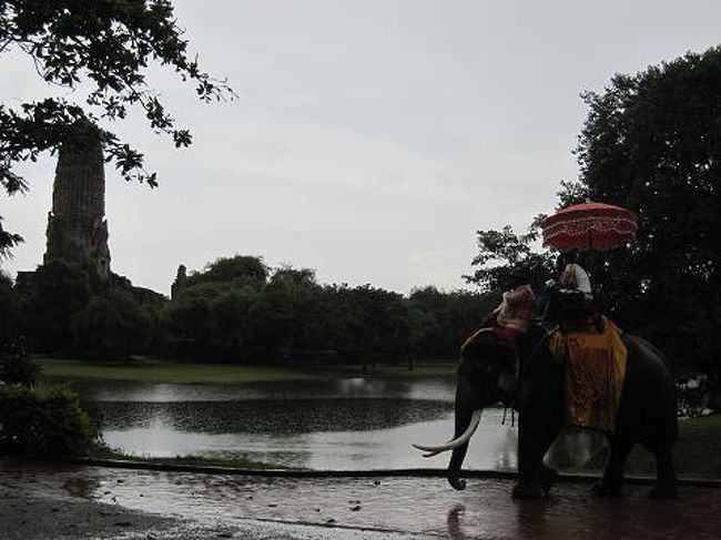 バス（50バーツ＝150円）は約1時間半でアユタヤに到着。が、途中からかなり激しい雨が降ってきて、観光どころか歩ける状態じゃない。ちかくの店に避難し、雨がやむのを待つ。せっかくタクシー飛ばして時間節約したのに、意味ないし･･･30分ほどで雨はやみ、自転車をかりて（1日50バーツ＝150円）観光へ。アユタヤはアンコールワットをすごく小さくした感じ。はじめてみたら感動しそうだけど、ついついいアンコールワットと比較してしまい、さらにバガンで沢山寺院を見たあとなので、正直「こんなものか」と思ってしまった。<br />