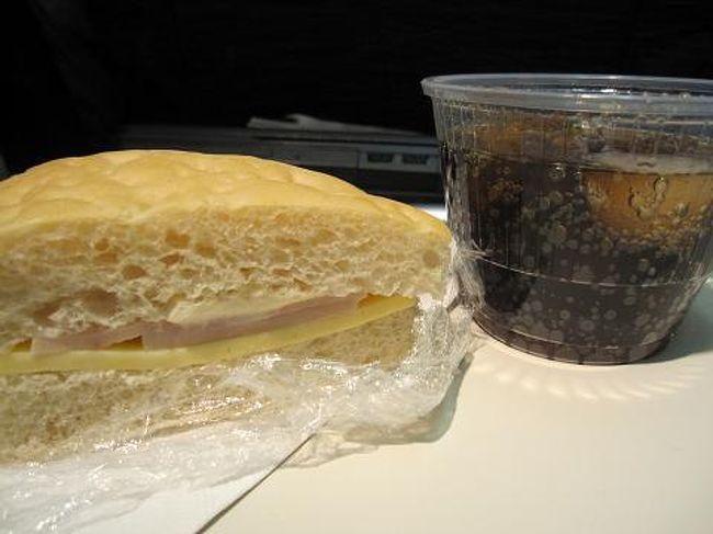 連日の寝不足で、帰りの便も爆睡。到着前においしくないサンドウィッチが出た。<br /> <br /><br />定刻より少し速い午後2時45分成田到着。かなりあわただしかったけど、バガン堪能したし、アユタヤも満たし、バンコクで友達にも会って充実の4泊5日でした。 <br />