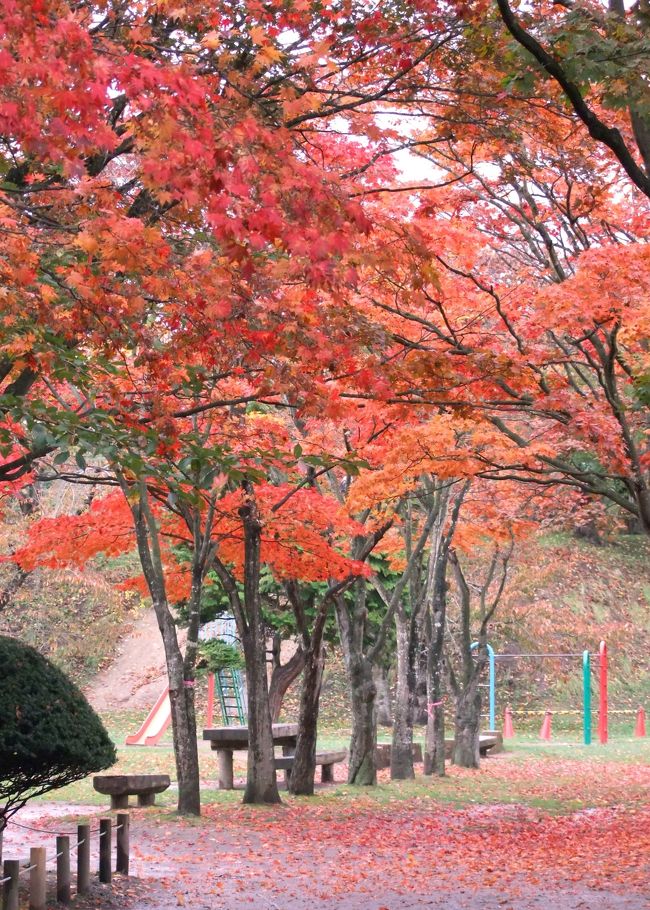 ちょっと！ちょっと！ちょっと！<br />凄いですよ、この紅葉は！