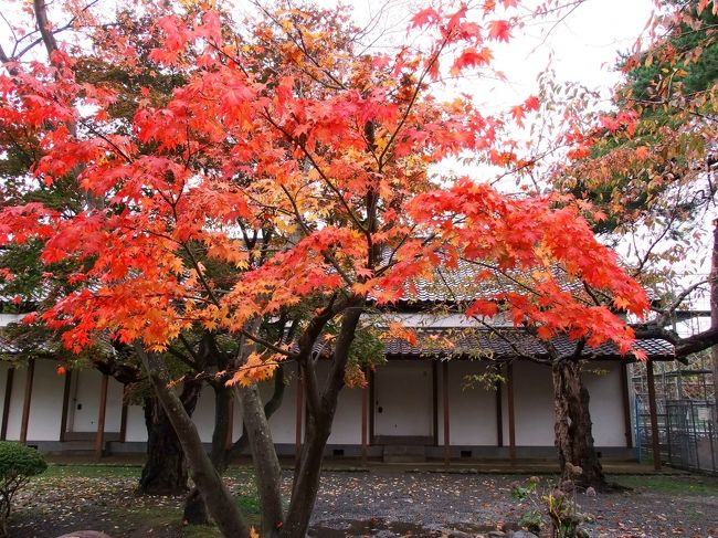 ここでこれだけの素晴らしさなので<br />函館の紅葉の名所の香雪園は<br />もっともっと素晴らしいのでしょうねぇ。