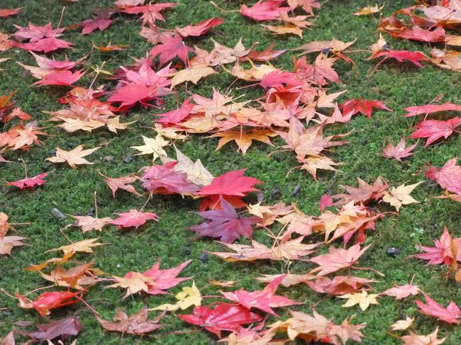 それがまた風情があって素敵でした。