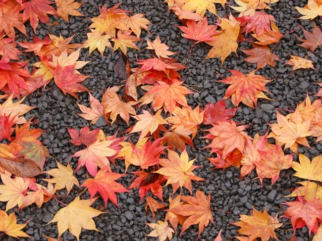 溜め息の出る美しさ…