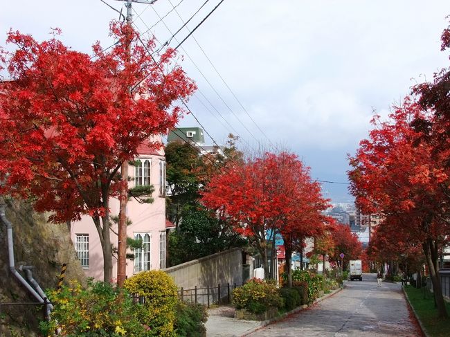 大三坂のナナカマドも真っ赤！