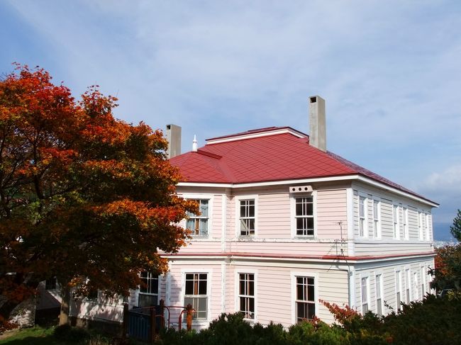 お隣の遺愛幼稚園。