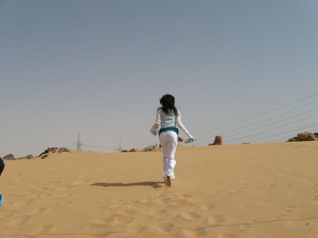 サハラ砂漠<br /><br />ここでサハラ砂漠の砂をおみやげ用に採集しました。<br />