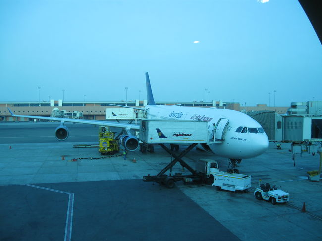 エジプト航空で日本へ<br /><br />今回は本当に幻想紀行でした！