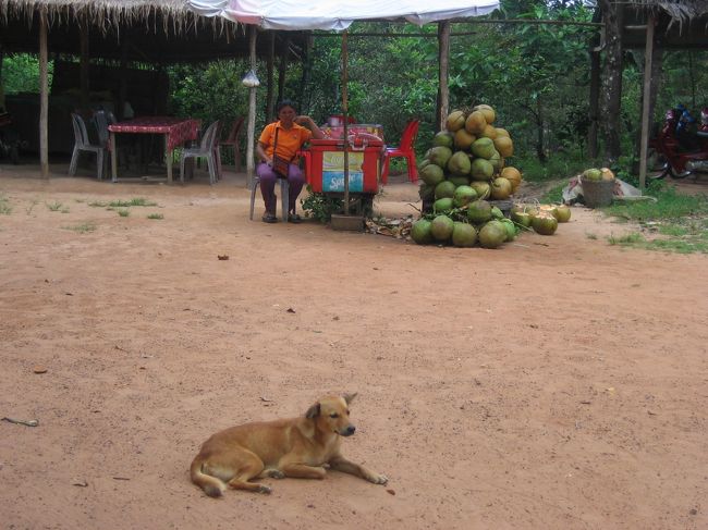 移動中。<br />ワンコ発見。