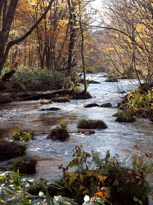 錦秋の十和田湖・奥入瀬』奥入瀬・十和田湖(青森県)の旅行記