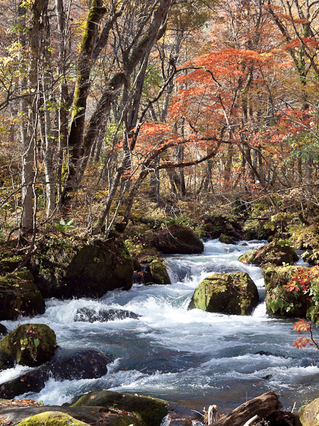 錦秋の十和田湖・奥入瀬』奥入瀬・十和田湖(青森県)の旅行記