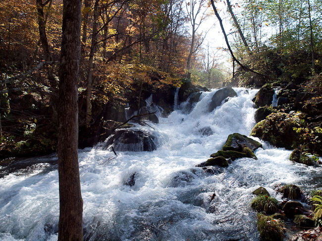 錦秋奥入瀬 奥入瀬渓流