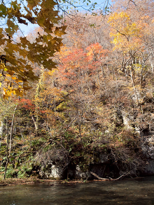 錦秋の十和田湖・奥入瀬』奥入瀬・十和田湖(青森県)の旅行記