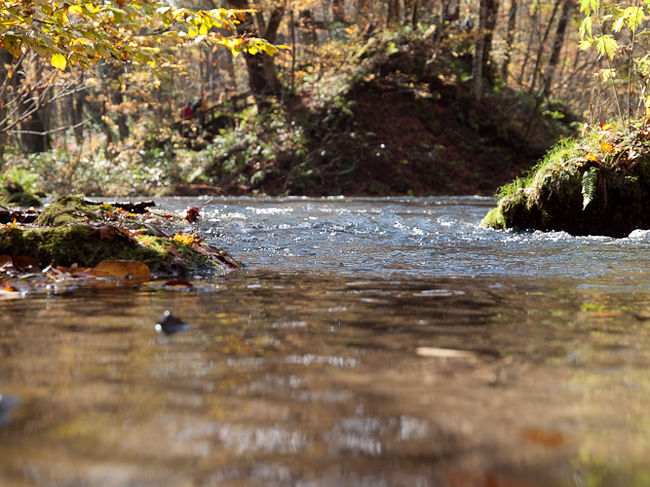 錦秋奥入瀬 錦秋の絶景と渓流のせせらぎに癒されるひととき】 📍奥入瀬渓流