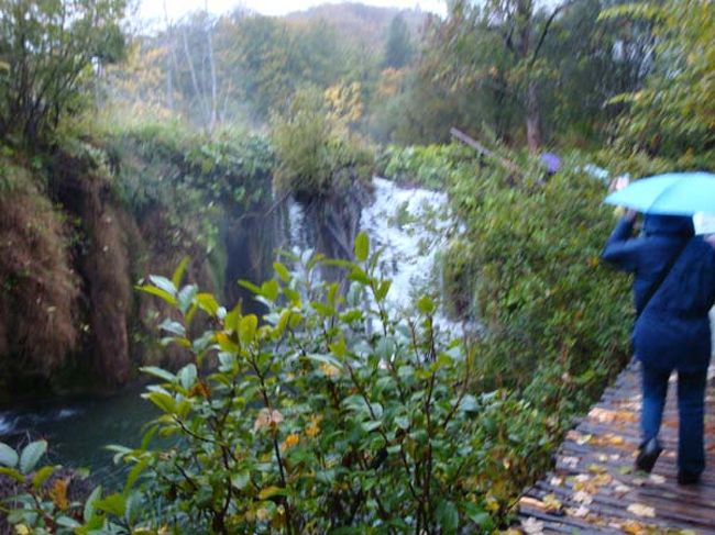 ←プリトヴィッツェ湖群国立公園（上湖群）<br /><br />下湖群より道は狭く、大きな水たまりに悪戦苦闘。くるぶしまでの深さの水たまりでついに靴の中も水浸し・・・<br /><br />