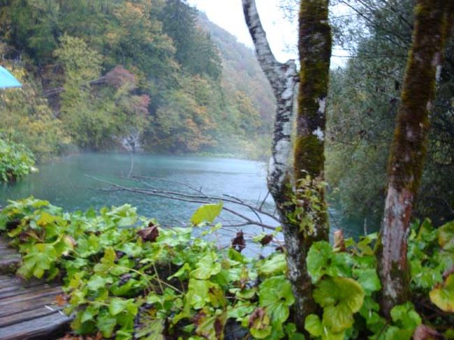 ←プリトヴィッツェ湖群国立公園（上湖群）<br /><br />遠くでは時折り雷鳴が聞こえます。<br /><br />行き交う人もなく、濃い緑色の湖の絶景も独り占め状態なのですが、ガイドは足早なのでゆっくり見とれているわけにはいきません。