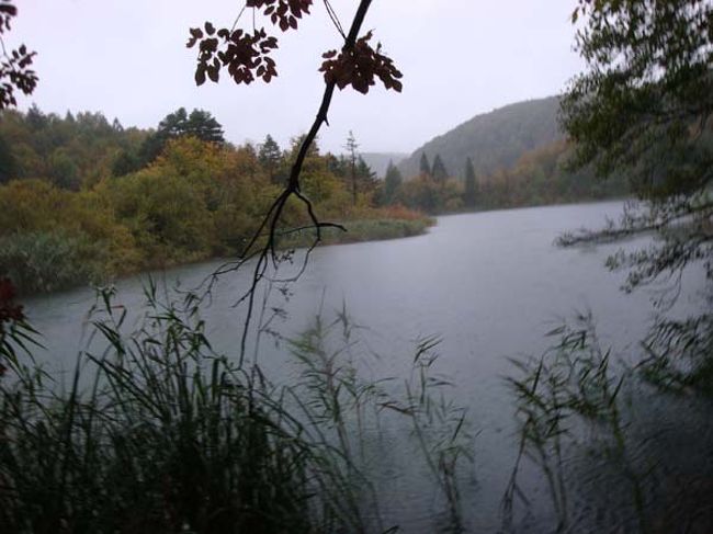 ←プリトヴィッツェ湖群国立公園（上湖群）<br /><br />犬の散歩も1組しか会わないような天候でした。<br />夕暮れの雨の湖は、ガイドと一緒のグループだから歩けますが、道に不案内な個人客は無理でしょう。