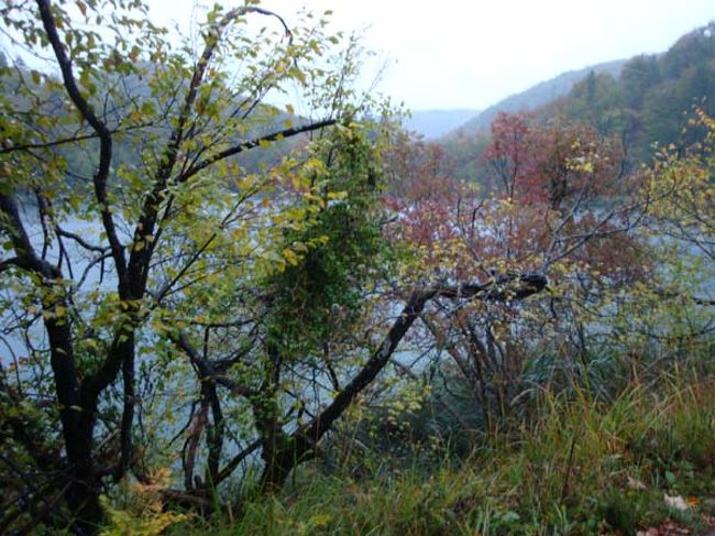 ←プリトヴィッツェ湖群国立公園（上湖群）<br /><br />上湖群の方が歴史が古いそうです。<br /><br /><br />