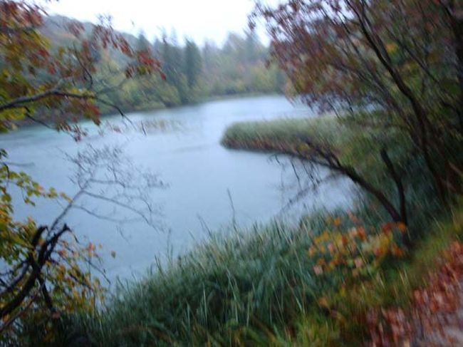 ←プリトヴィッツェ湖群国立公園（上湖群）<br /><br />ピンぼけ写真ですが、雨にけぶった湖畔も上湖はより神秘的？