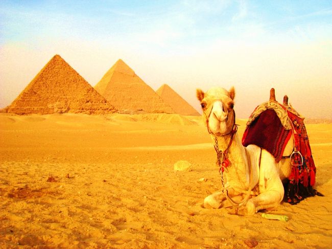 動物の写真はタイミングが難しい・・・。