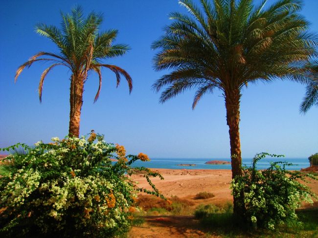 アスワンへ向かう列車から撮った風景