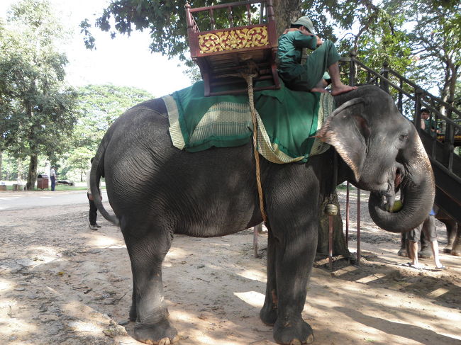 象乗り体験っ！<br /><br />この緑の服のおっちゃんの背中には、<br />「Tips」とかかれたポッケが・・・ｗ<br /><br />わかりやすいシステム！