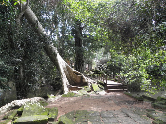 タプローム<br /><br />この雰囲気の中をてくてくと歩きます。