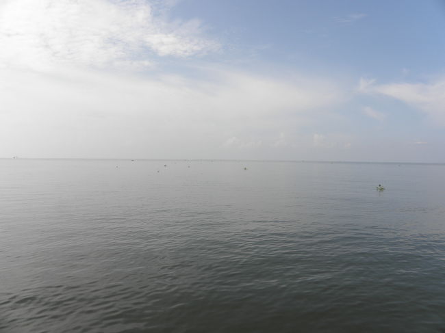 こうなってしまうと、もはや海です。