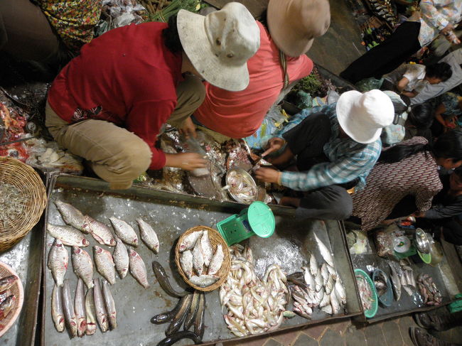 申し訳ないけど、<br /><br />「グロい！！！」と感じてしまう、魚屋さん。