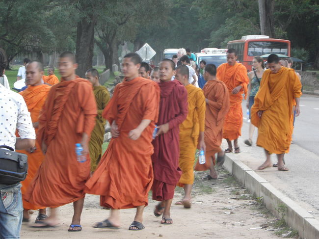 空港行きの途中に寄ったアンコールワットにて遭遇。<br /><br />