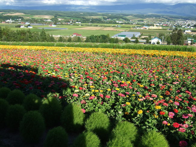 園内を回るバスに乗りました。<br />時期が早かったのか？？花は咲いていますが少しまだらでした。<br />だけど景色が良くてきもちいい！<br />