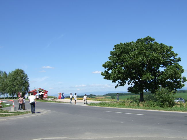 セブンスターの木