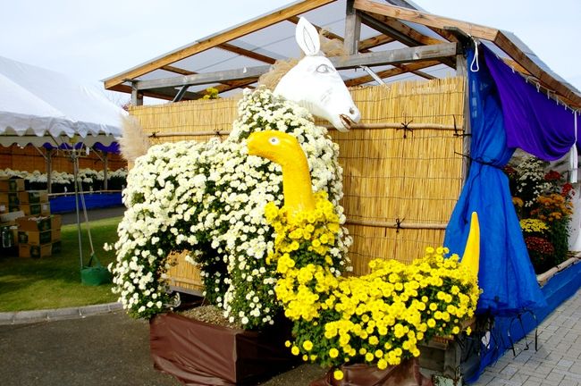 09 南砺 菊まつり 富山県の旅行記 ブログ By 旅仁さん フォートラベル 09 南砺 菊まつり 富山県の旅行記 ブログ By 旅仁さん フォートラベル