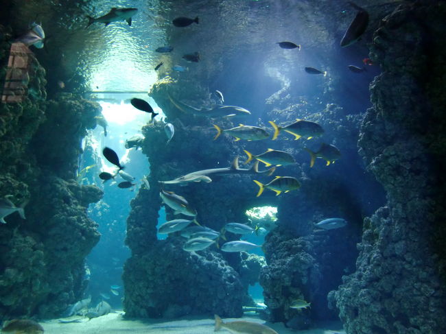 モナコの水族館