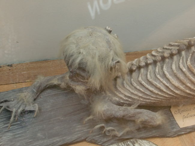 モナコの海洋博物館でみつけた謎の物体