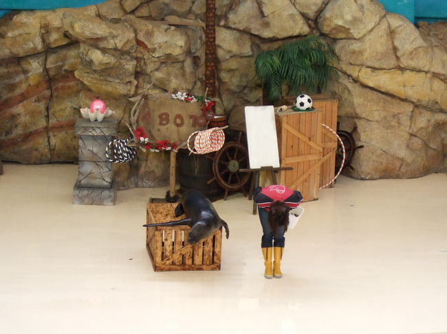 鳥羽水族館。<br /><br />何年ぶりだろう…<br />こんなに綺麗だったかなってくらい変わってました。<br />到着して早速アシカショーへ。<br /><br />朝一のショーだったのに、すごい人です。<br />