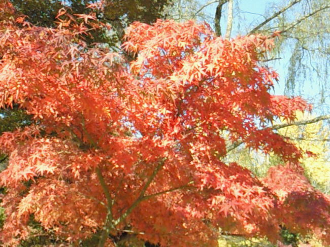 そして、お腹いっぱいで、また散策…