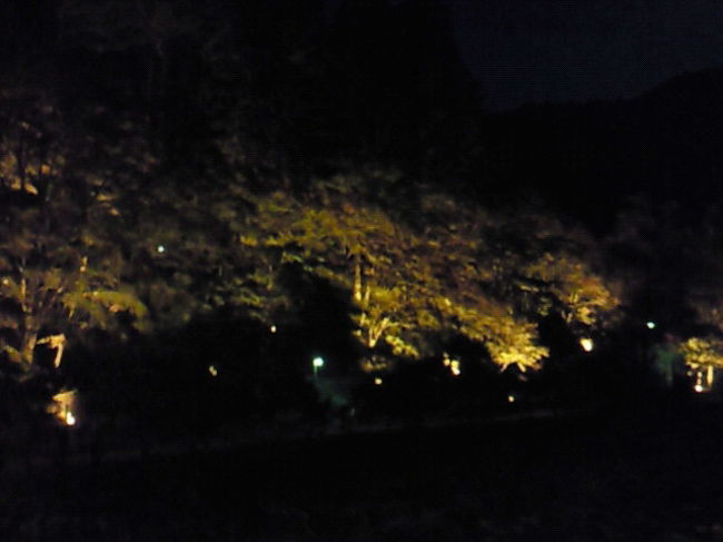 結局、ライトアップまで見て帰ってきました。キレイでした。