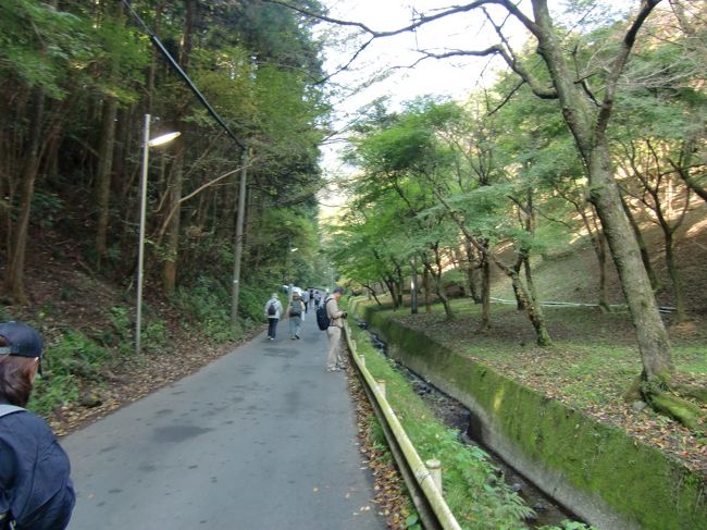 最初は舗装道路でしたが、