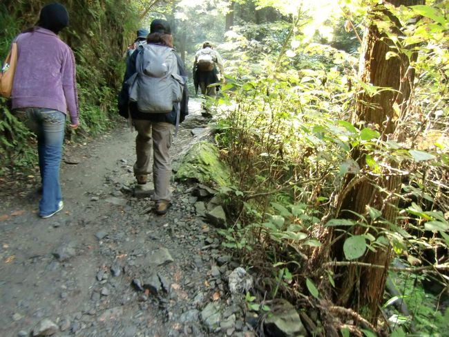 ６号路に入るとなかなかの山道