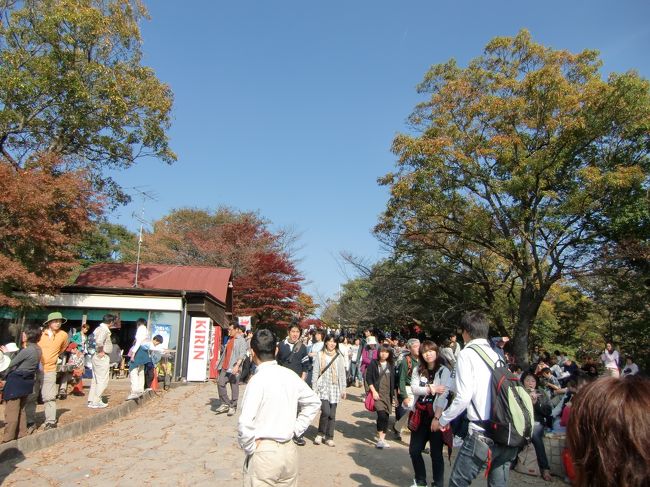山頂でソバを食べる予定でしたが、大行列のためあきらめました．．．