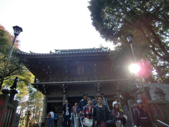 薬王院の門前のそば屋で遅い昼食