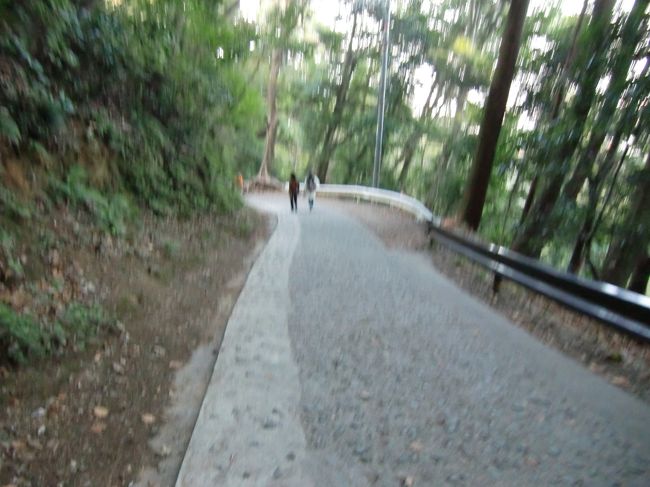 下り坂はヒザにきます