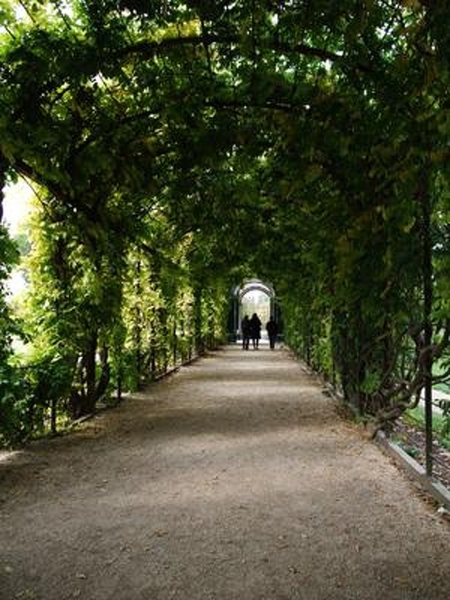 宮殿の中を見終ったので、これから庭を見に行きます。<br /><br />途中で通った緑のトンネル。きれいー。