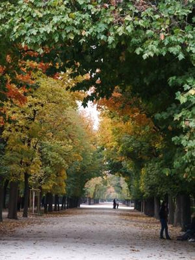 これもシェーンブルン宮殿の庭です。<br /><br />とてもヨーロッパっぽい感じで、なんかうれしい♪