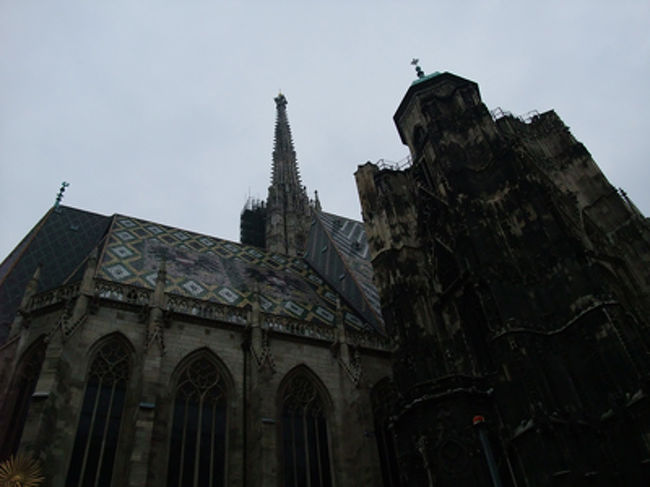 シュテファン寺院にきました。<br /><br />雨＆夕方だから、あまりきれいに撮れないなー。