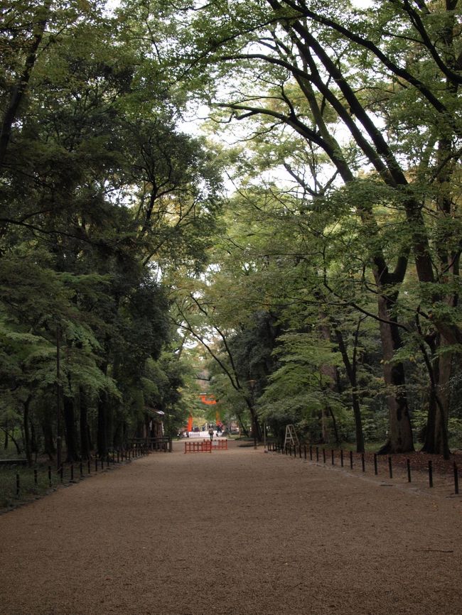 下鴨神社は、『糺の森』に守られています。<br /><br />太古からの木々は、静かに、その静寂を守っていたけど、圧倒的な存在感があった。<br /><br /><br /><br />